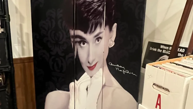 wall divider Belleville IL